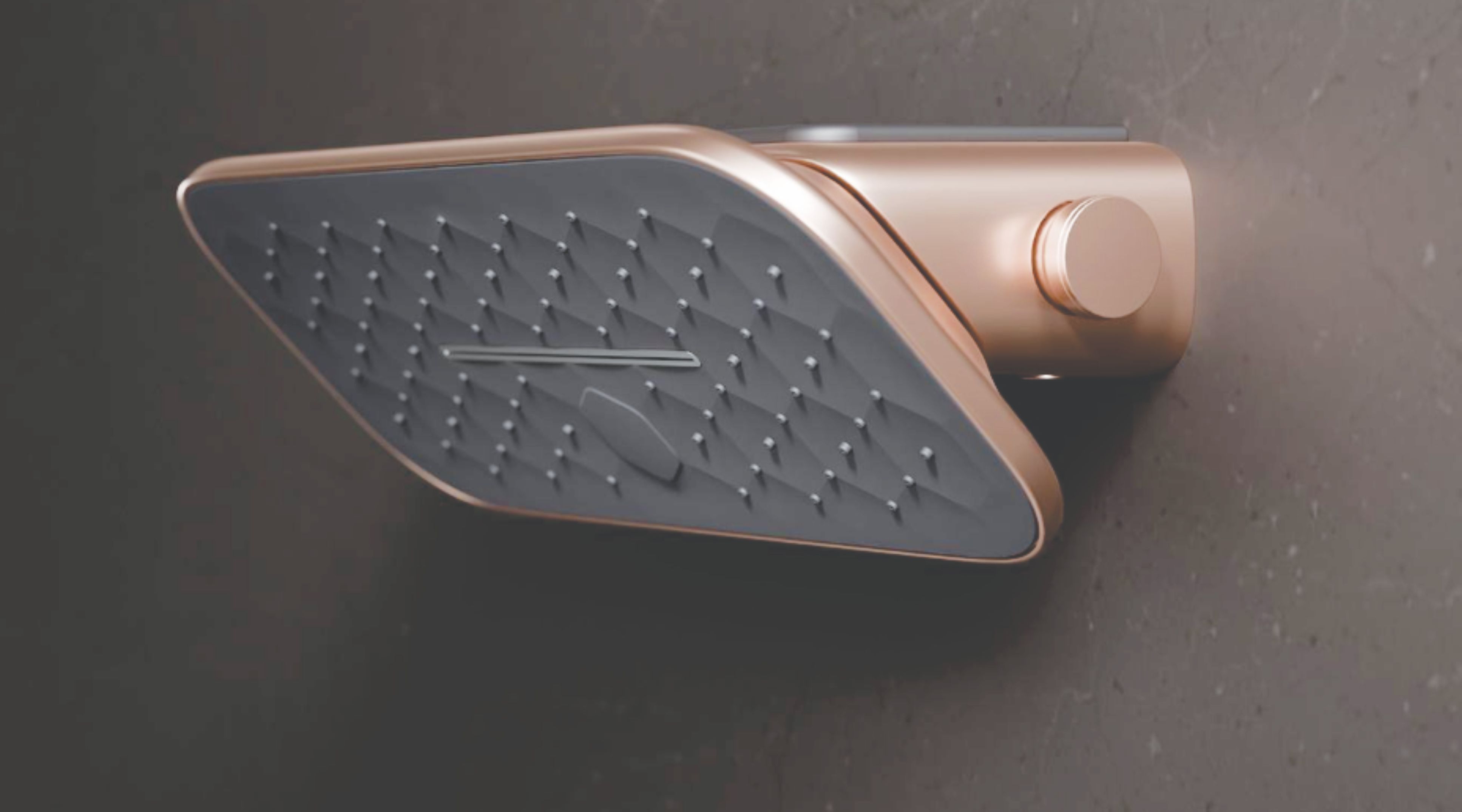 Radiance Shoulder Shower by Kohler