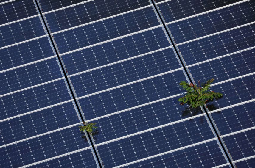 Acme Solar reported a 130.7% rise in PAT to ₹251 crore in FY25, up from ₹109 crore in FY24, driven by strong capacity additions and higher power generation.