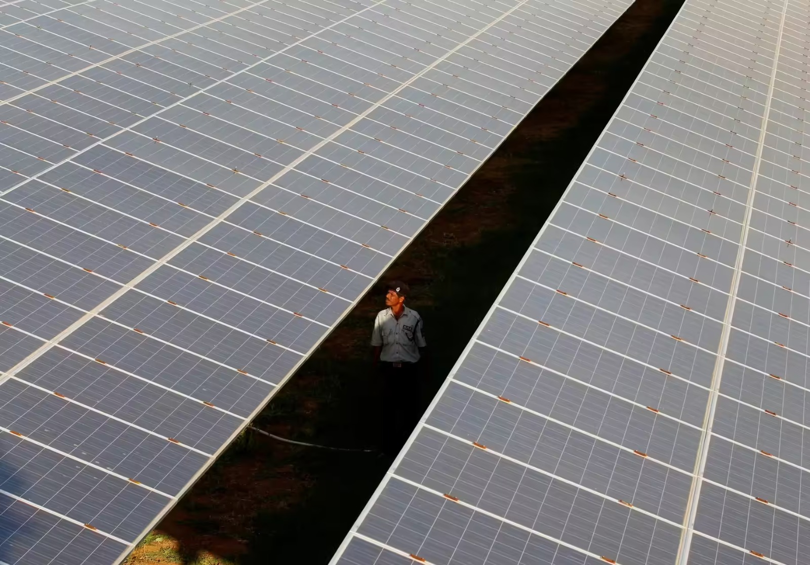 NLC India Wins 110 MW Solar Project to Supply Power to NCRTC