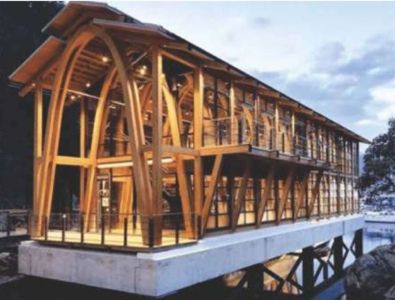 Mass Timber: A Solution for Climate Action in the Built Environment