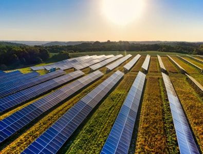 NIIF Leads $1.7 Billion Race to Acquire Shell’s Sprng Energy