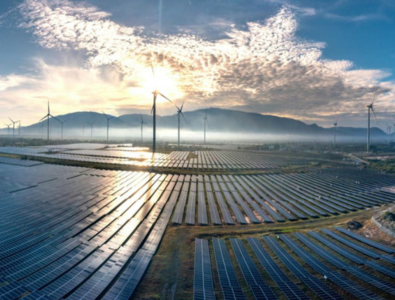 Waaree Renewable Secures 800 MW Solar EPC Orders to Boost Clean Energy Portfolio
